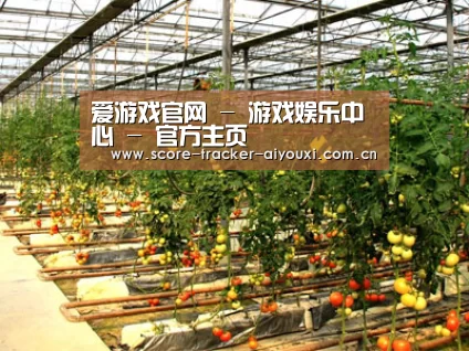 种植基地二